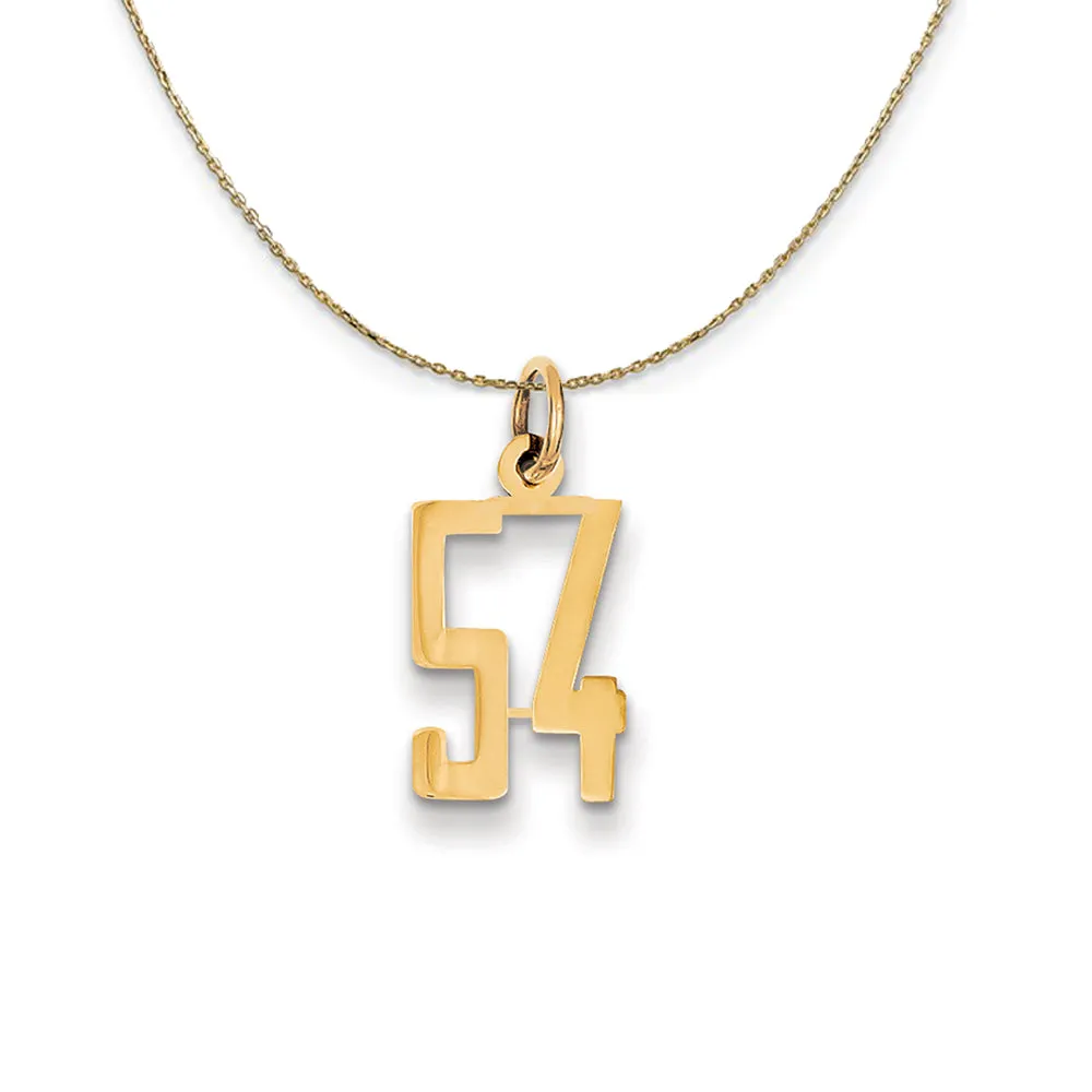 14k Yellow Gold, Alumni Small Elongated Number 54 Necklace