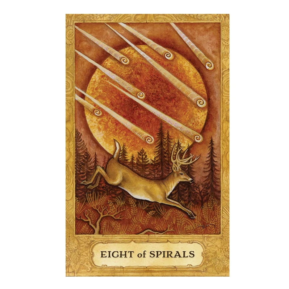 Chrysalis Tarot Deck and Book Set