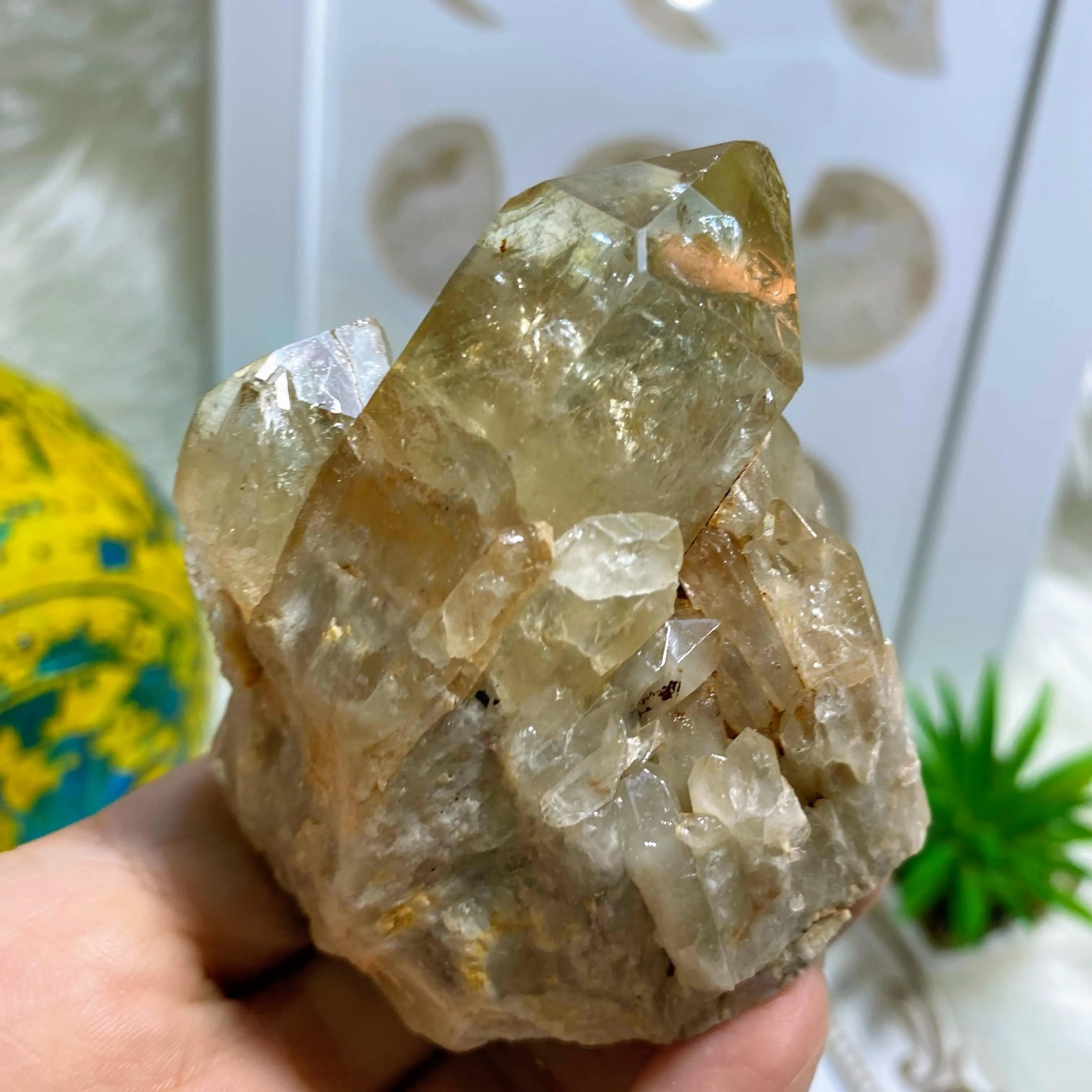 Gorgeous Natural Citrine Kundalini Elestial Phantom Cluster Specimen~Locality: Congo