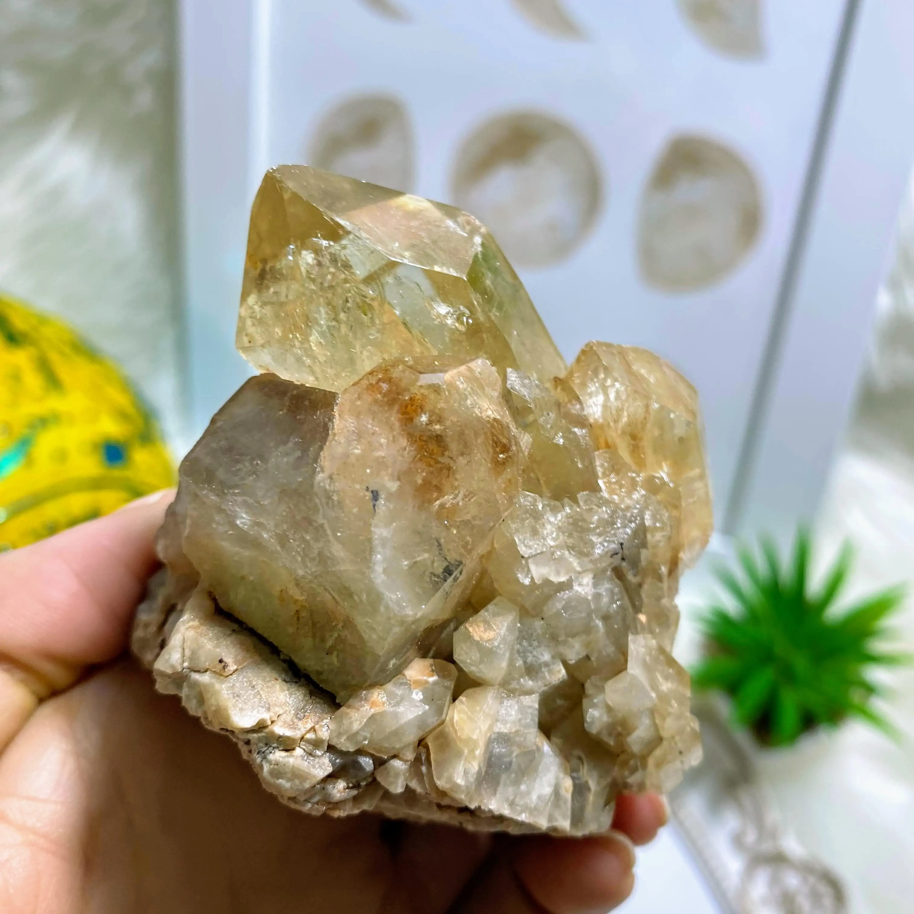 Gorgeous Natural Citrine Kundalini Elestial Phantom Cluster Specimen~Locality: Congo