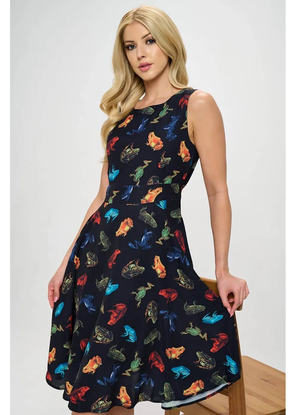 LA Soul Ivy Frogs A-Line Dress Black