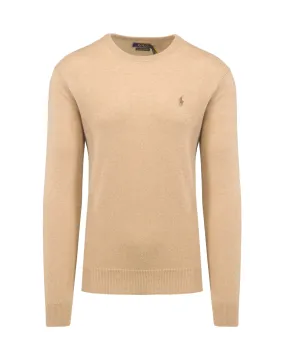 POLO RALPH LAUREN cashmere sweater 710732990-200