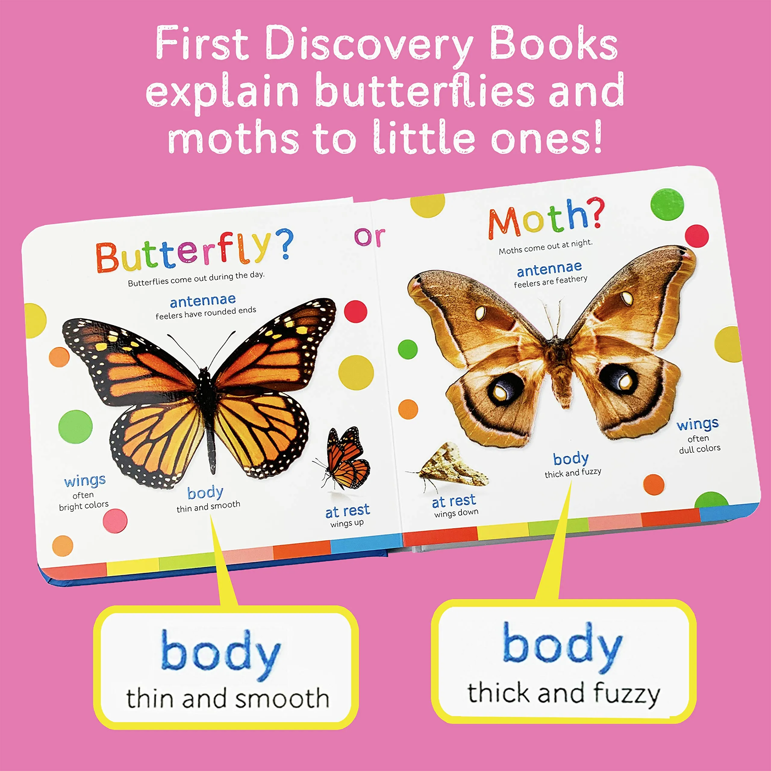 Smithsonian Kids: Butterflies and Moths